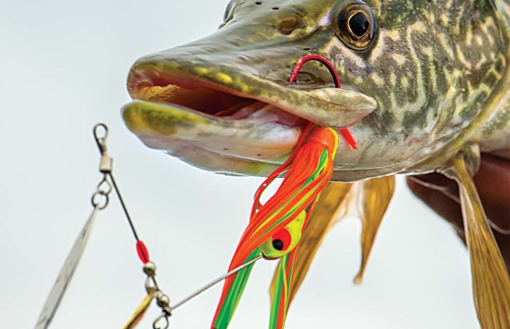 Blades of Glory: The Best Bladed Lures for Spring Fishing