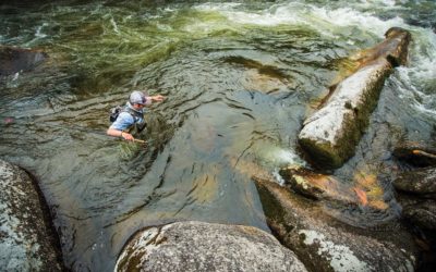 Why Pocket Water is the Coolest Spot to Catch Summer Trout