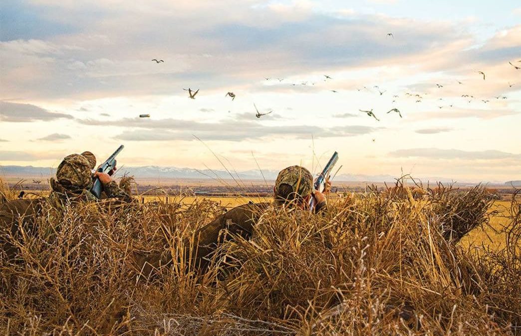 Waterfowl Hunting Tips: Six Hacks For Hiding Your Layout Blind