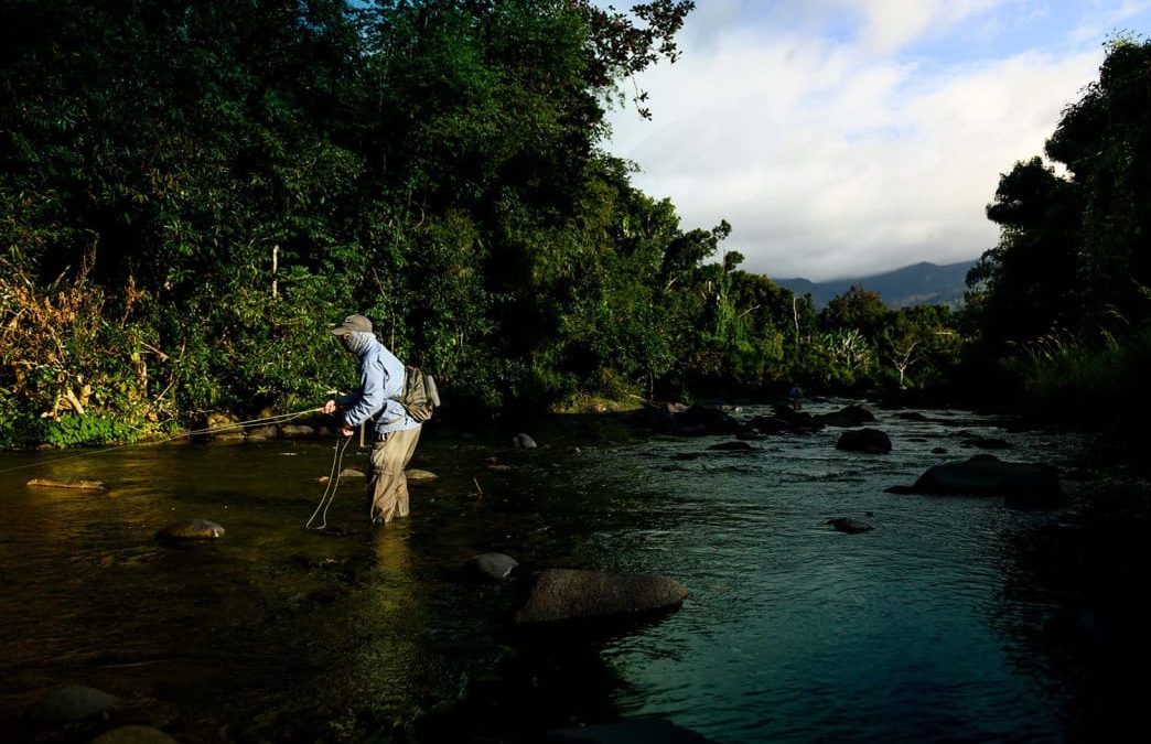 A Puerto Rican Fishing Road Trip for Silver Kings, Bigmouths, Mullet, and More