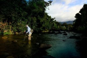 A Puerto Rican Fishing Road Trip for Silver Kings, Bigmouths, Mullet, and More