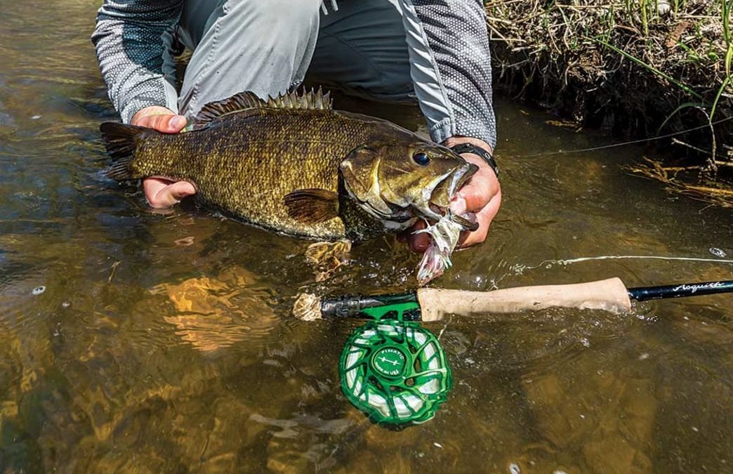 Fly Fishing Tricks To Catch More Smallmouth Bass