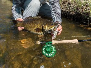 3 Flyfishing Tricks to Catch More Smallmouth Bass