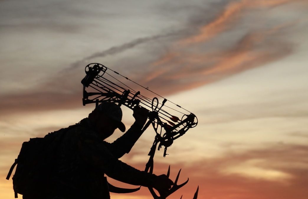 How To Buy The Perfect Compound Bow For Hunting