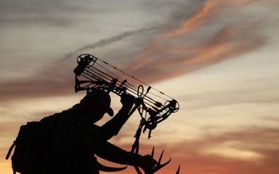 How To Buy The Perfect Compound Bow For Hunting