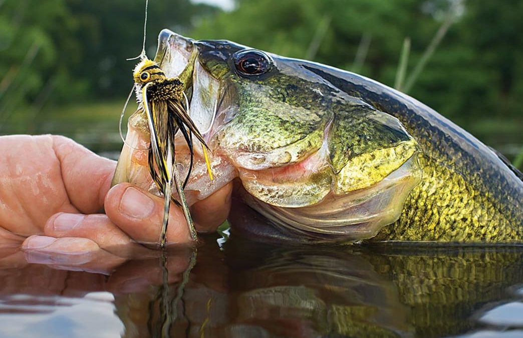 Shave and a Hair Bug: How to Flyfish with Deer-Hair Flies