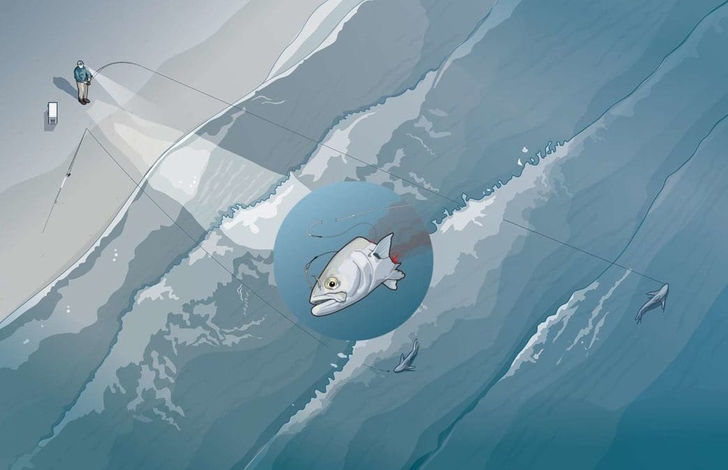 The Beach Bum’s Guide to Surf Fishing for Sharks