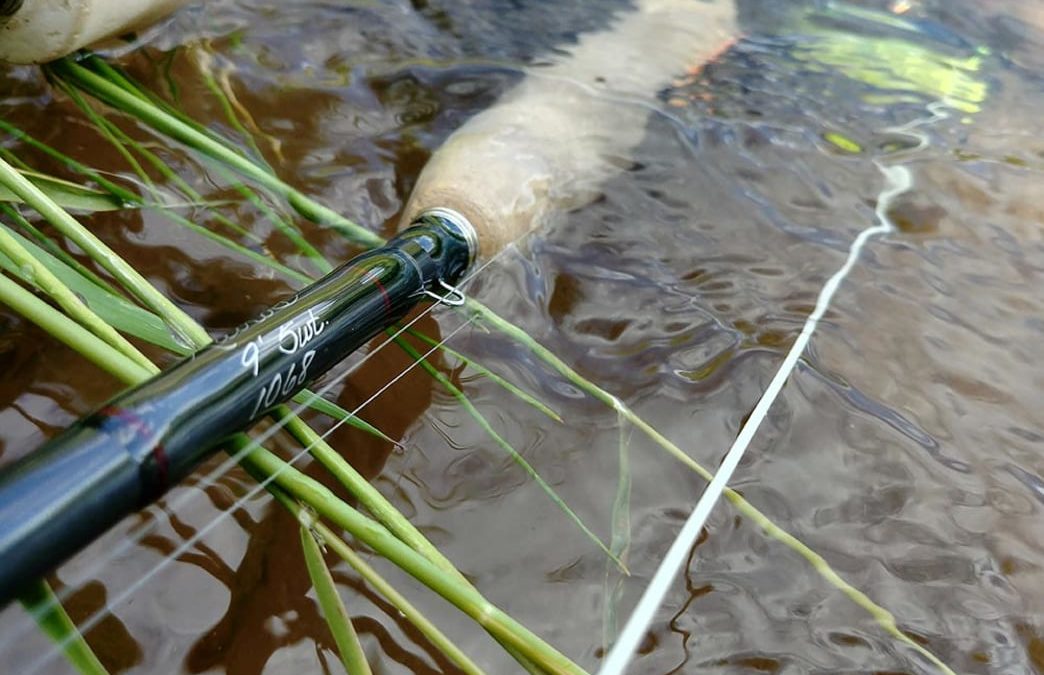 How To Buy A New Trout Fly Rod On Any Budget