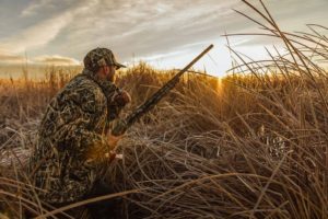 How to Choose the Best Gun and Load for Late-Season Waterfowl