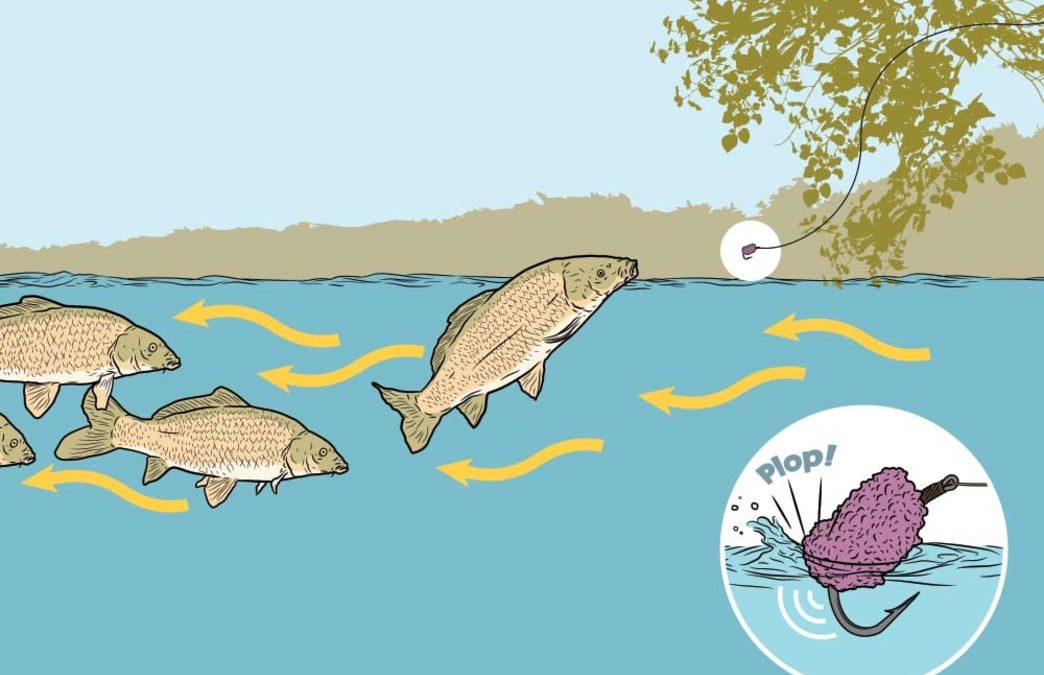 Carpe Diem! Flyfishing for Carp with Mulberry Flies