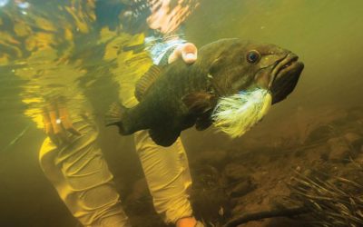 Eight Rules of Flyfishing for Late-Summer Smallmouths