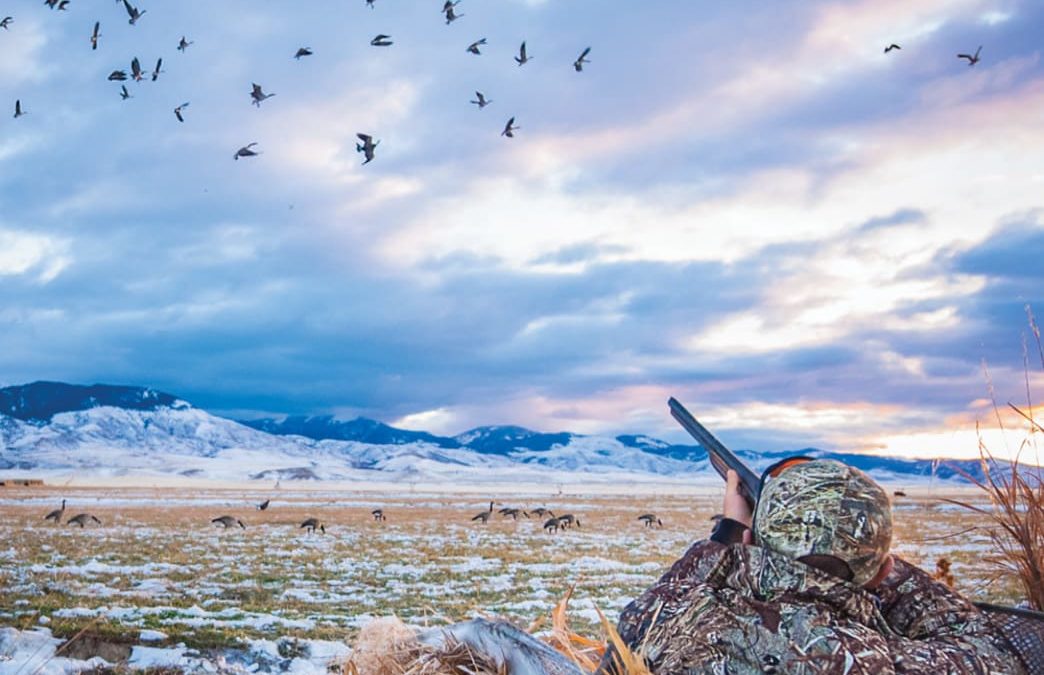Duck Hunting 101 – The Beginners Guide