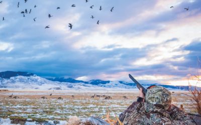 Duck Hunting 101 – The Beginners Guide