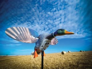 The Spin Doctor: How to Rig a Mega Spinning Decoy Spread
